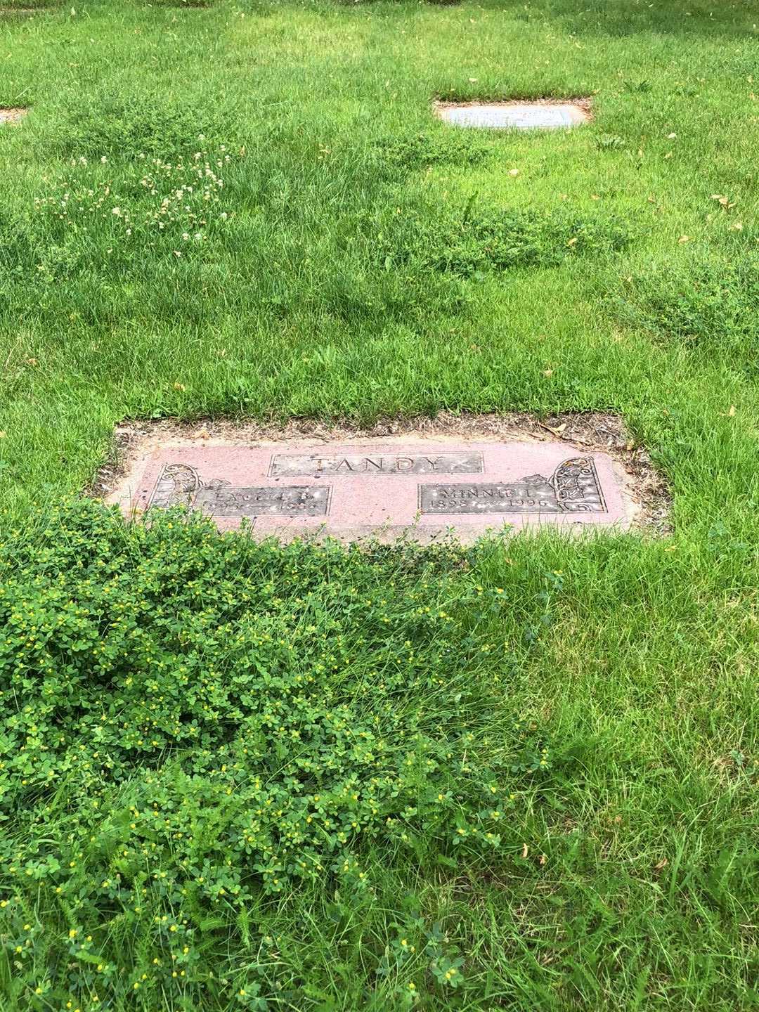 Minnie Lucille Tandy's grave. Photo 2