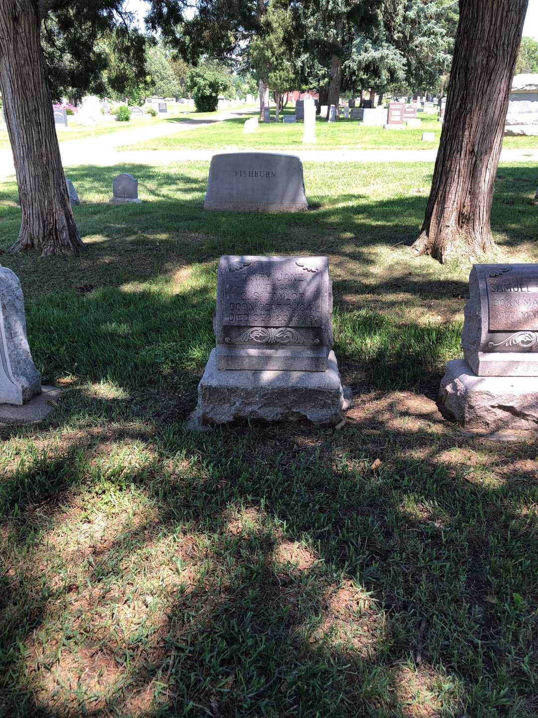 Alida L. Jackson's grave. Photo 2