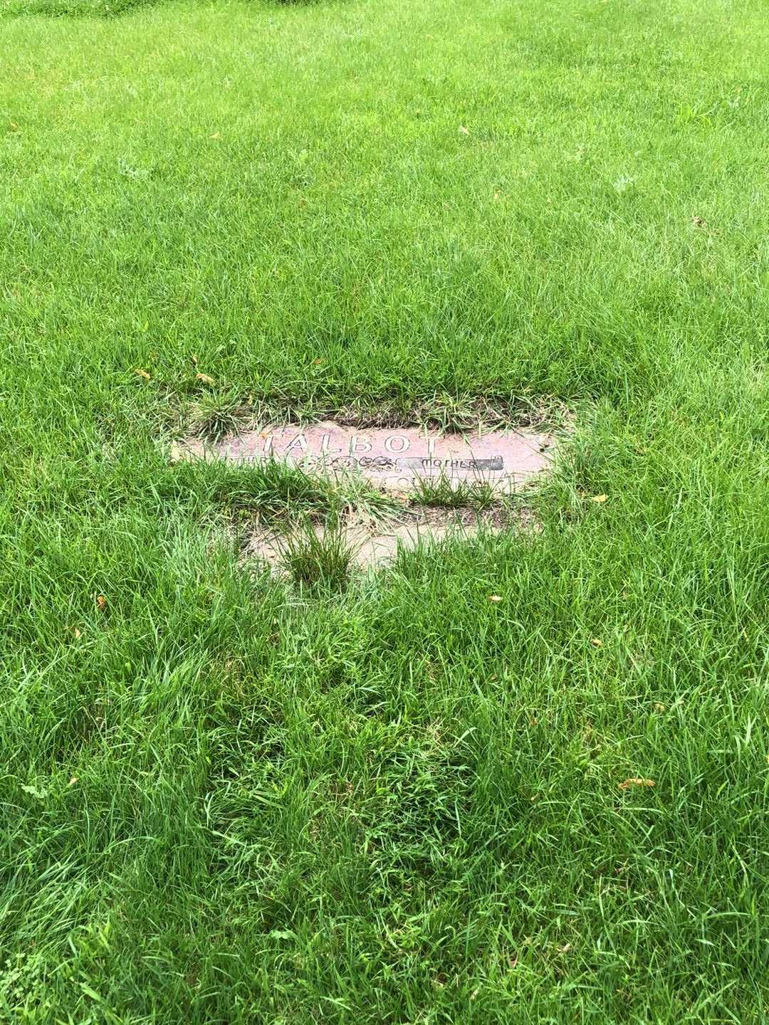 Guy A. Talbot's grave. Photo 2