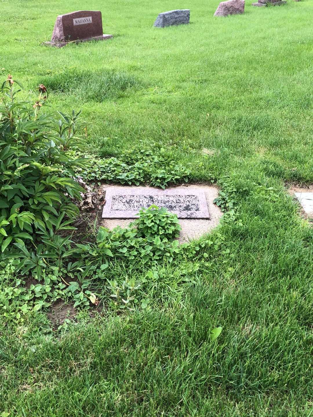 Sarah Jane Talley's grave. Photo 2