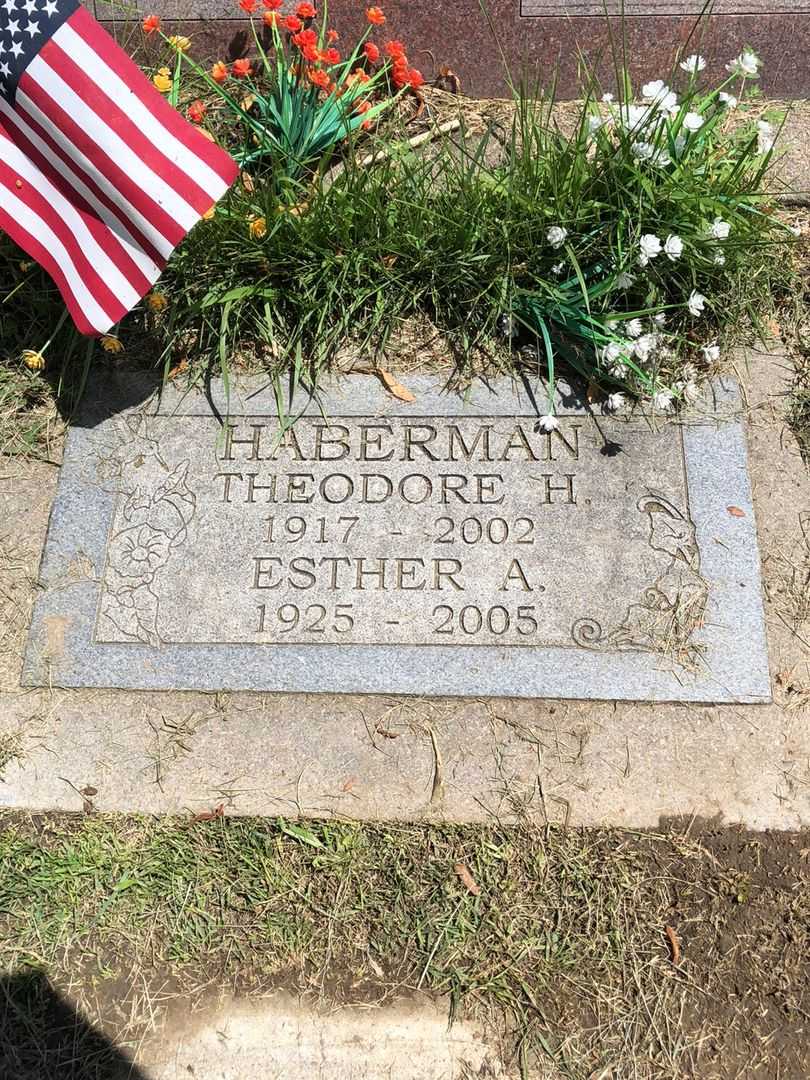 Theodore H. Haberman's grave. Photo 5