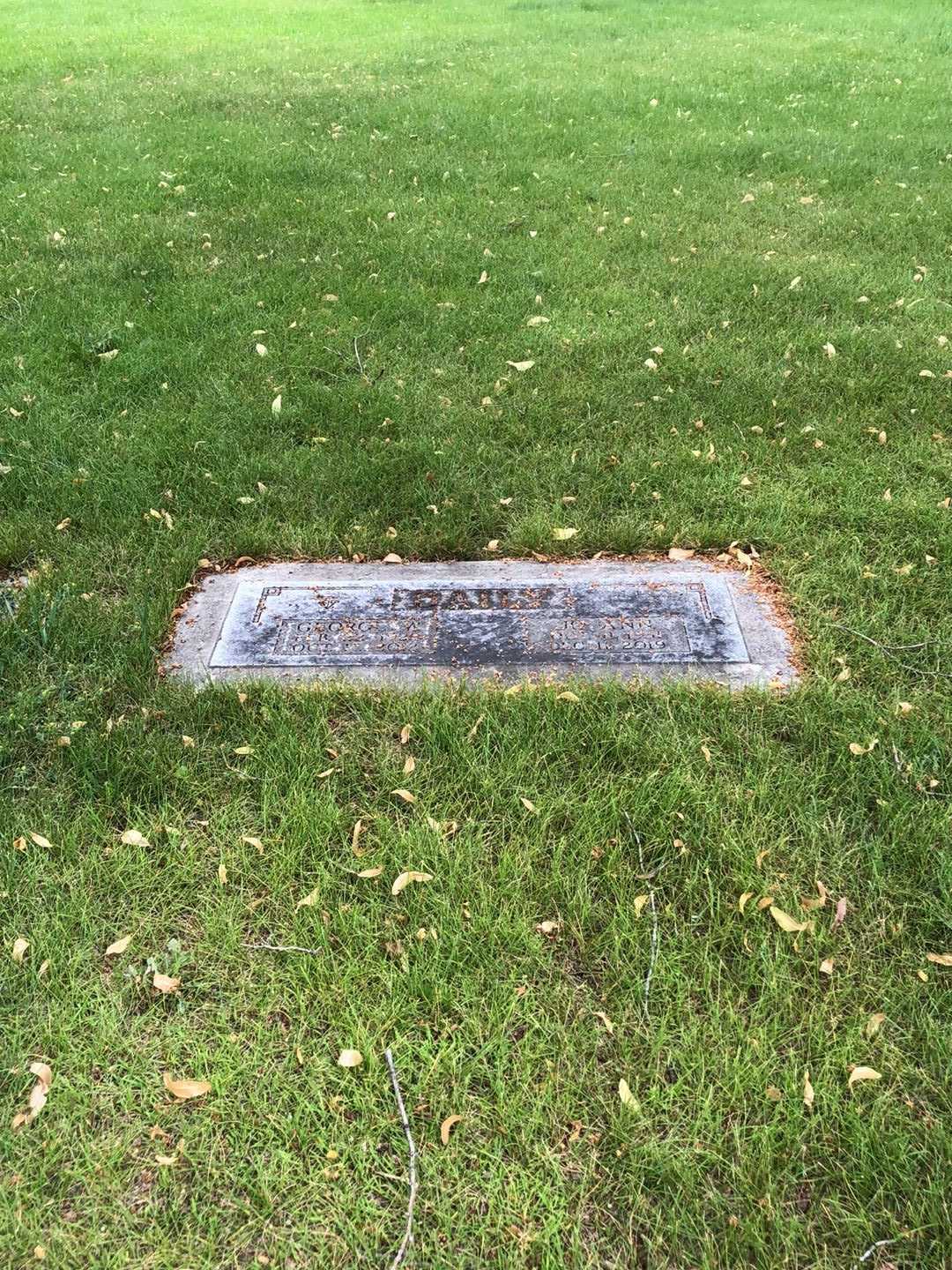 George Webster Daily's grave. Photo 2