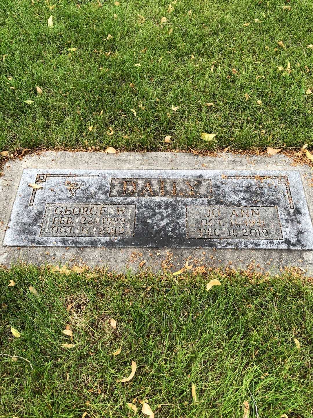 George Webster Daily's grave. Photo 1