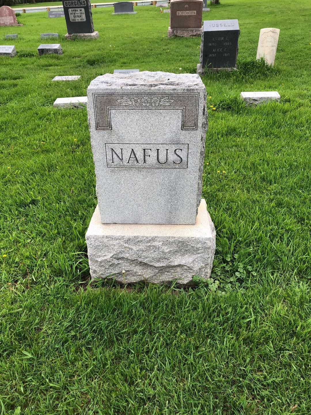 Leon Nafus's grave. Photo 1