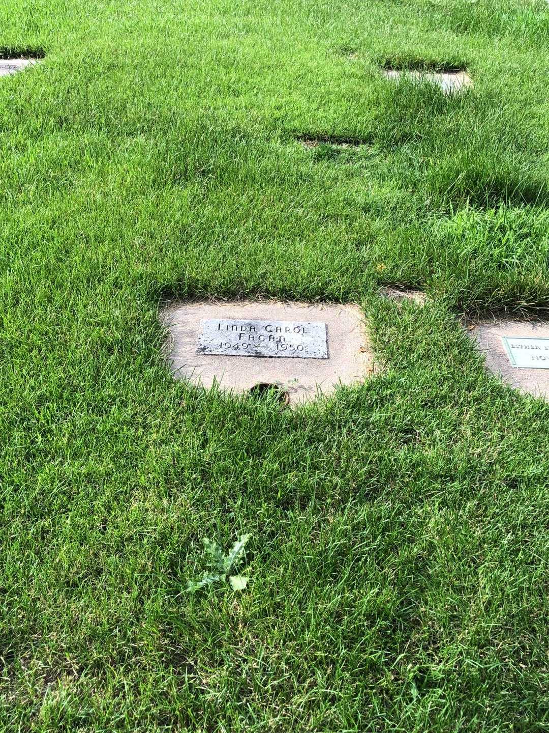 Linda Carol Fagan's grave. Photo 2