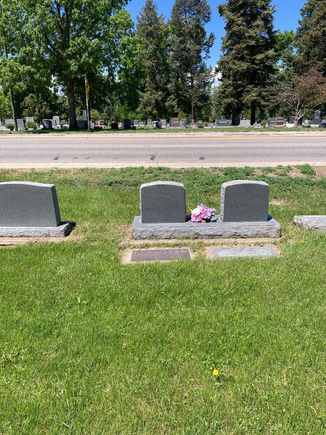 Ralph E. Fagan's grave. Photo 4