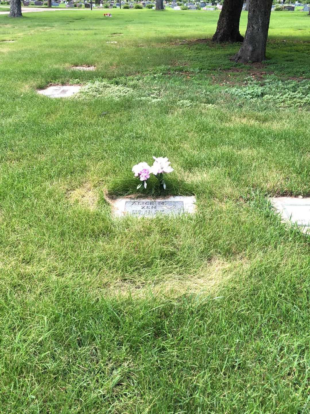 Alice Marie Zeh's grave. Photo 2