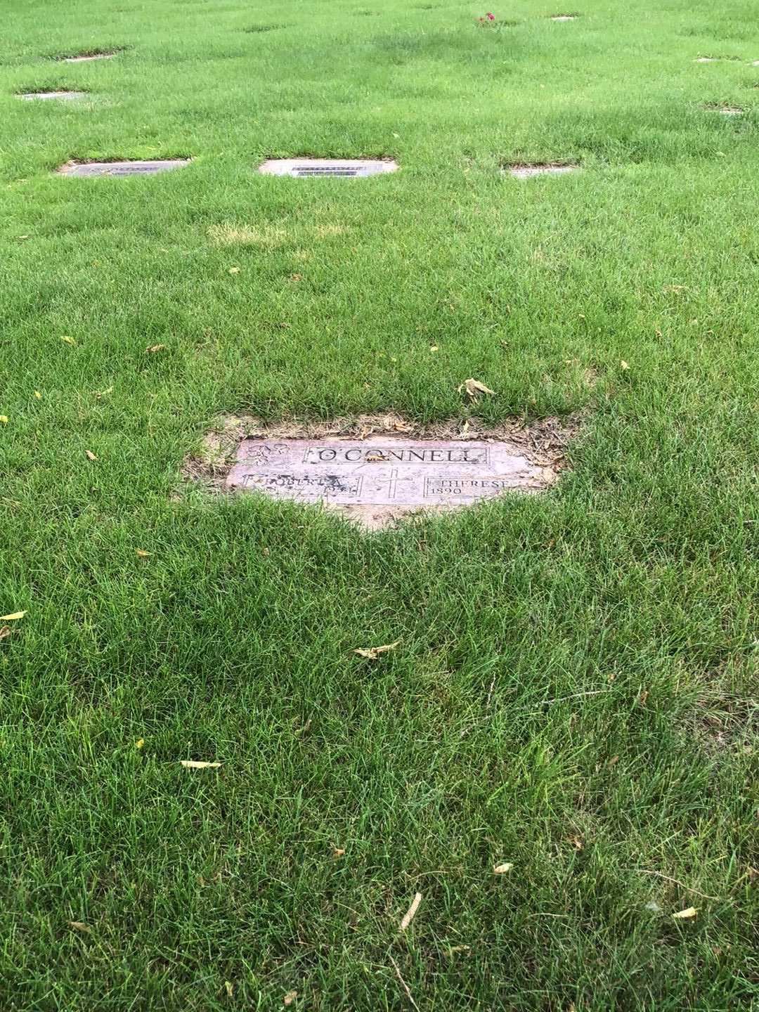 Therese M. O'Connell's grave. Photo 2