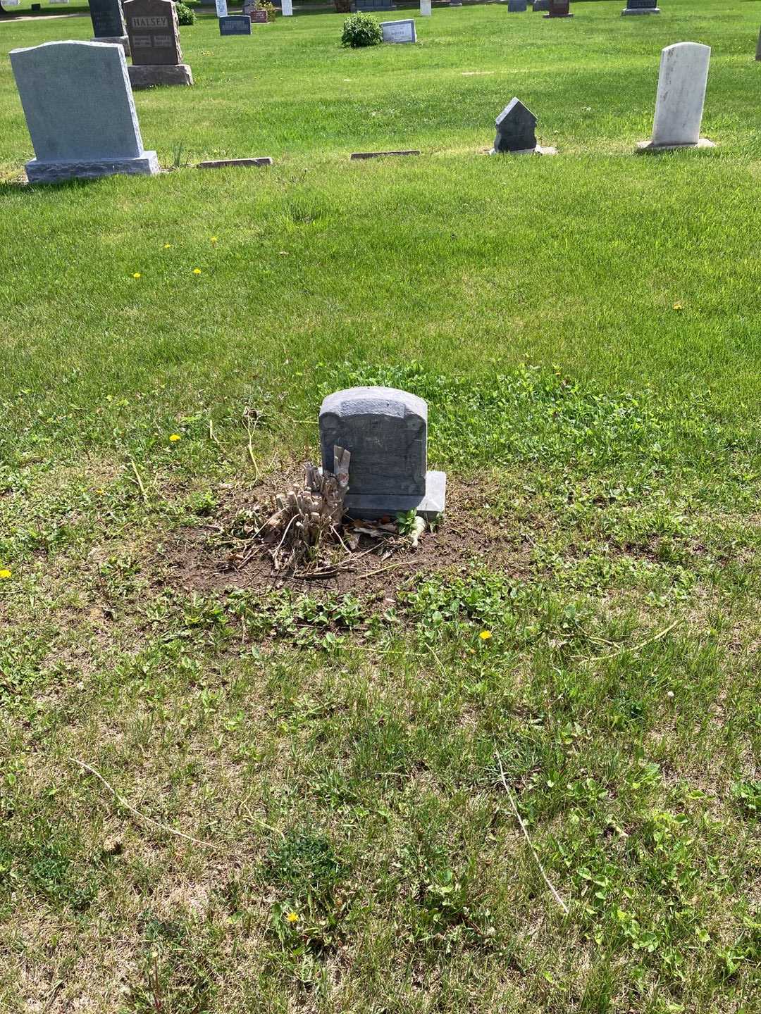 Infant Caldwell's grave. Photo 2