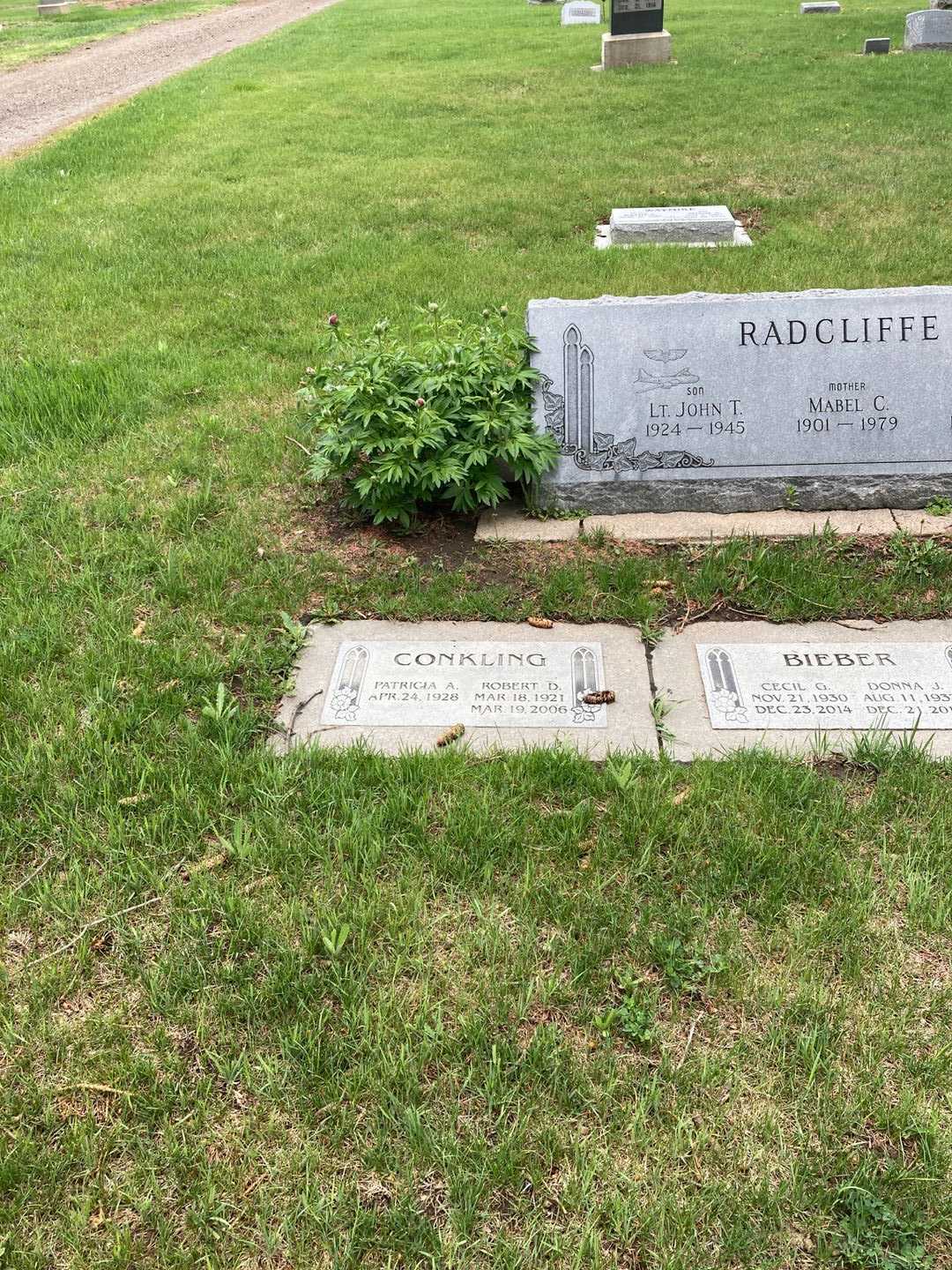 Robert D. Conkling's grave. Photo 8