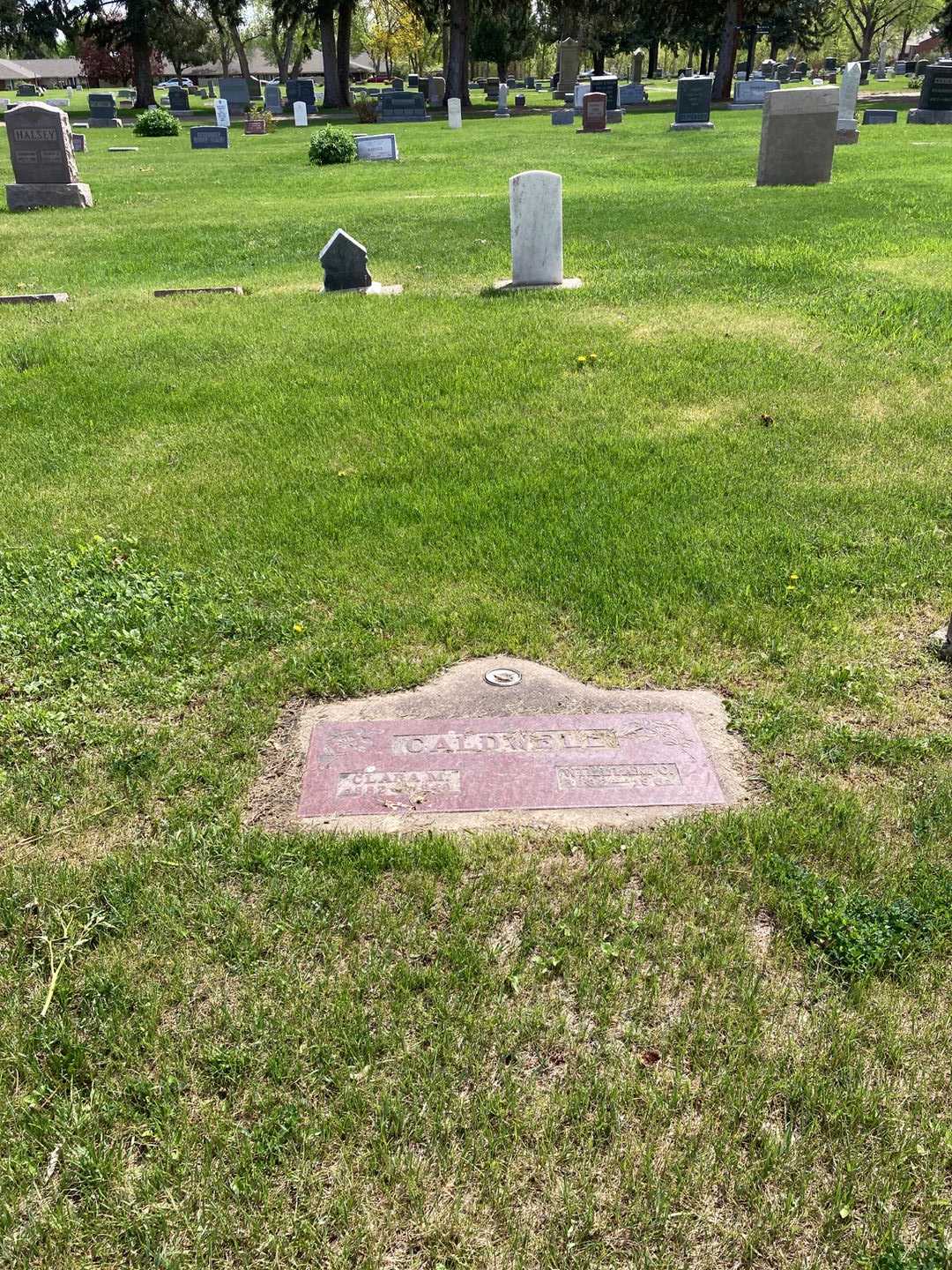 Infant Caldwell's grave. Photo 2