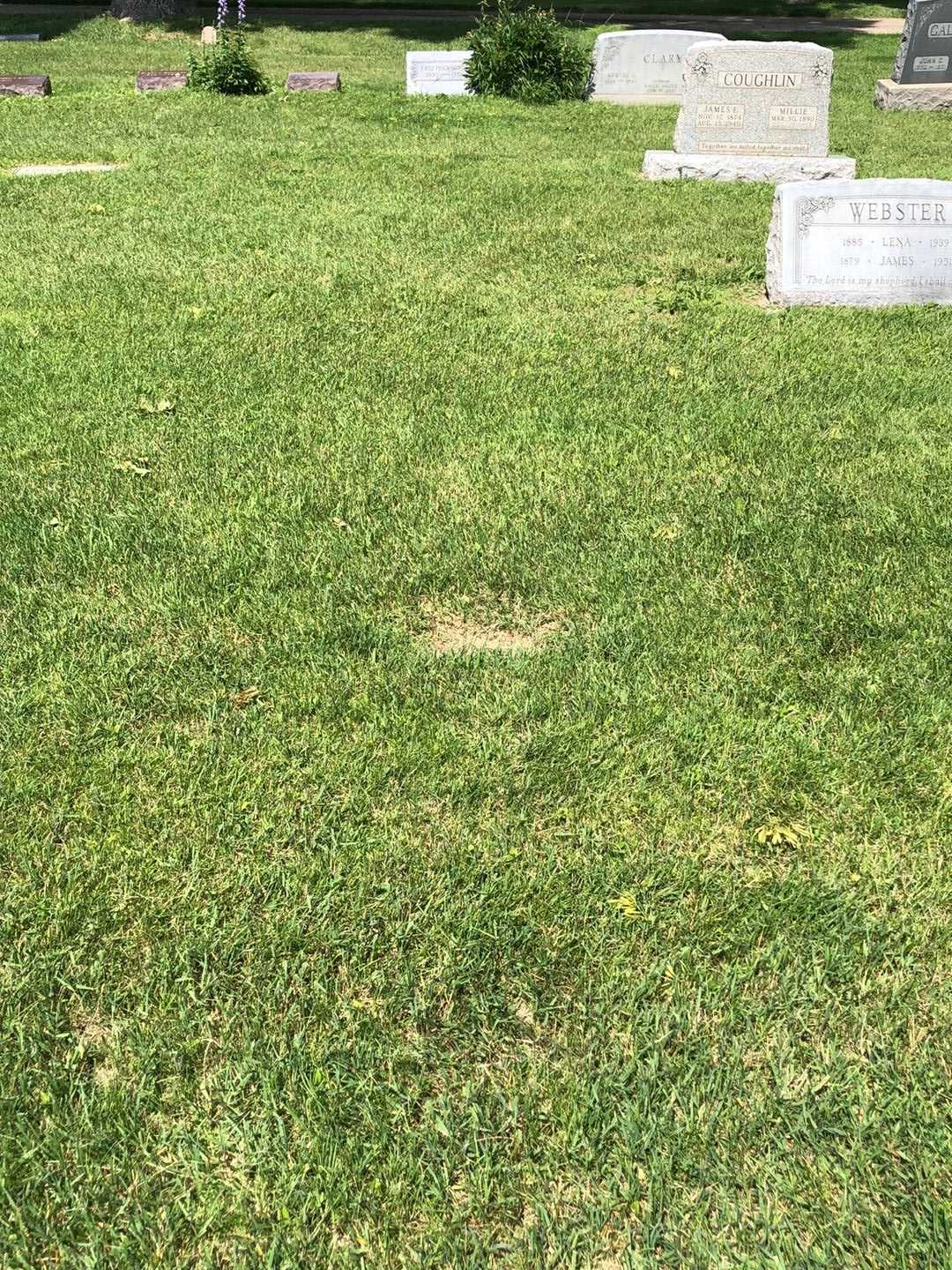 Louise Bellamy Tallant's grave. Photo 2