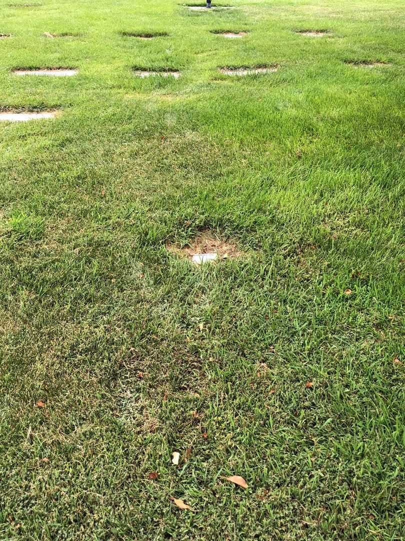 Angel Francine Jabalera-Rodriguez's grave. Photo 2