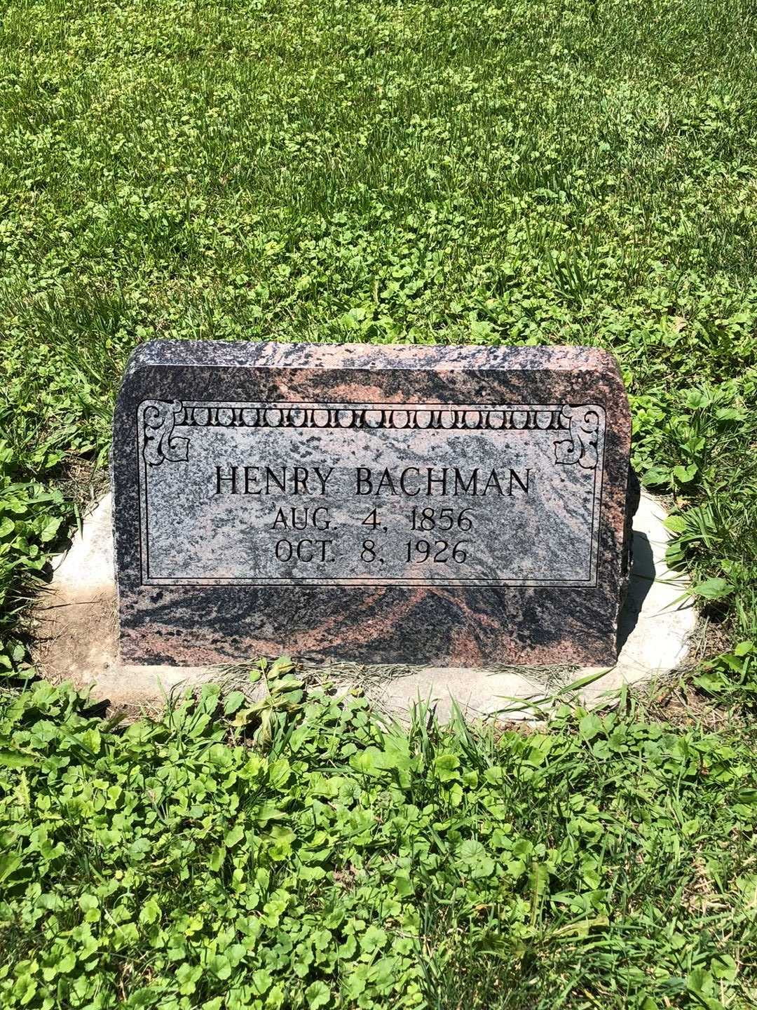 Henry Bachman's grave. Photo 1