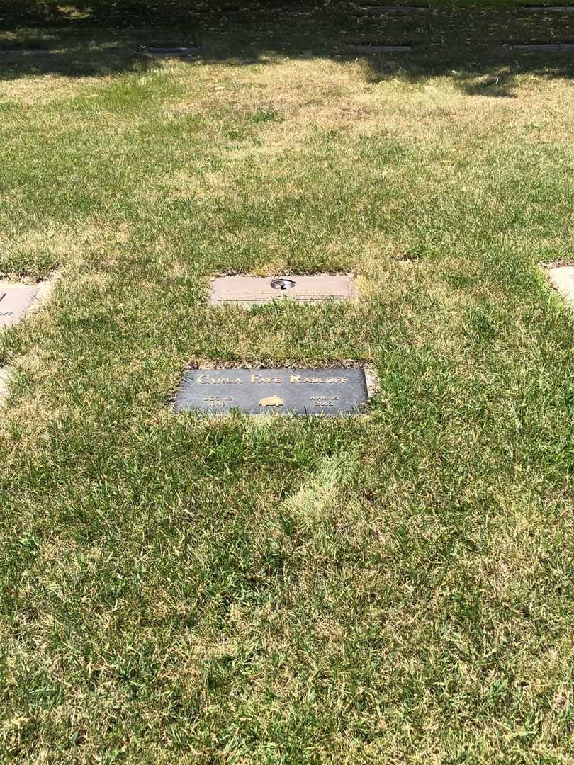 Carla Faye Radloff's grave. Photo 6