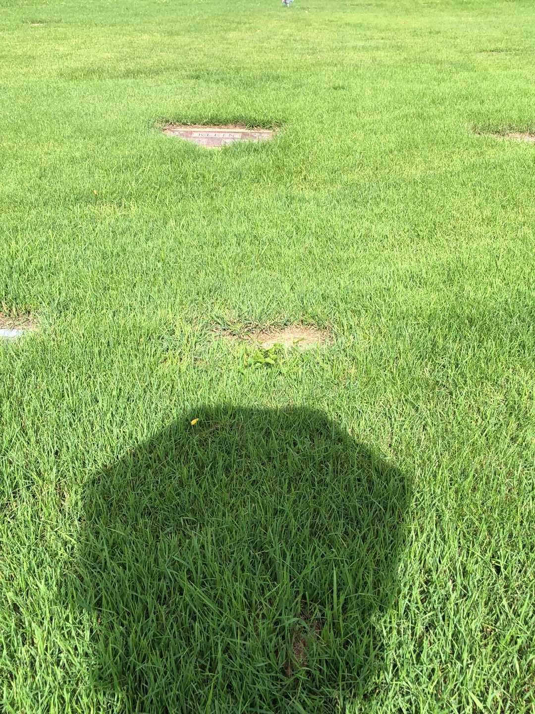 Goldie Ann Van Blaricom's grave. Photo 2