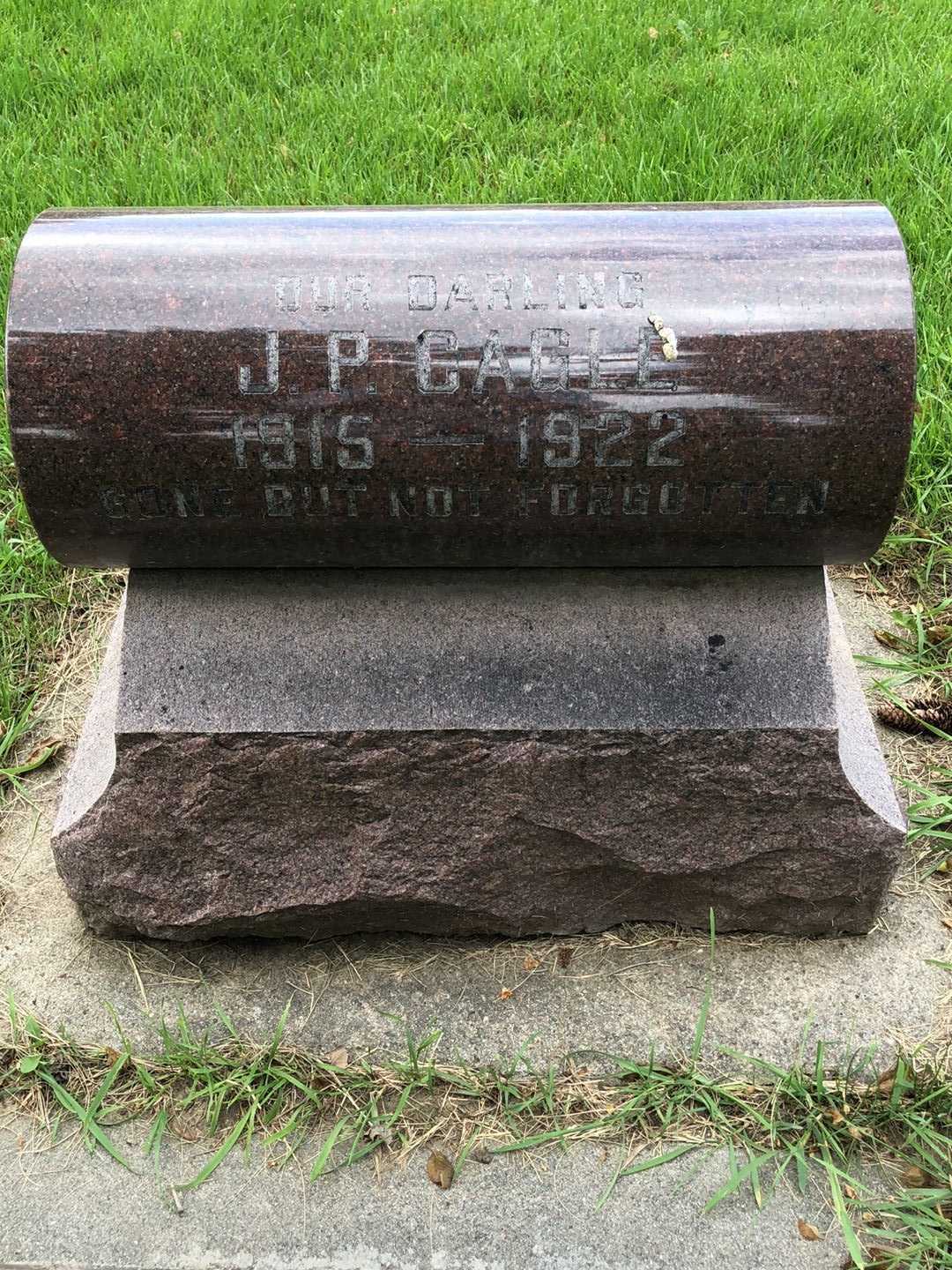 Roy Jackson Cagle's grave. Photo 1