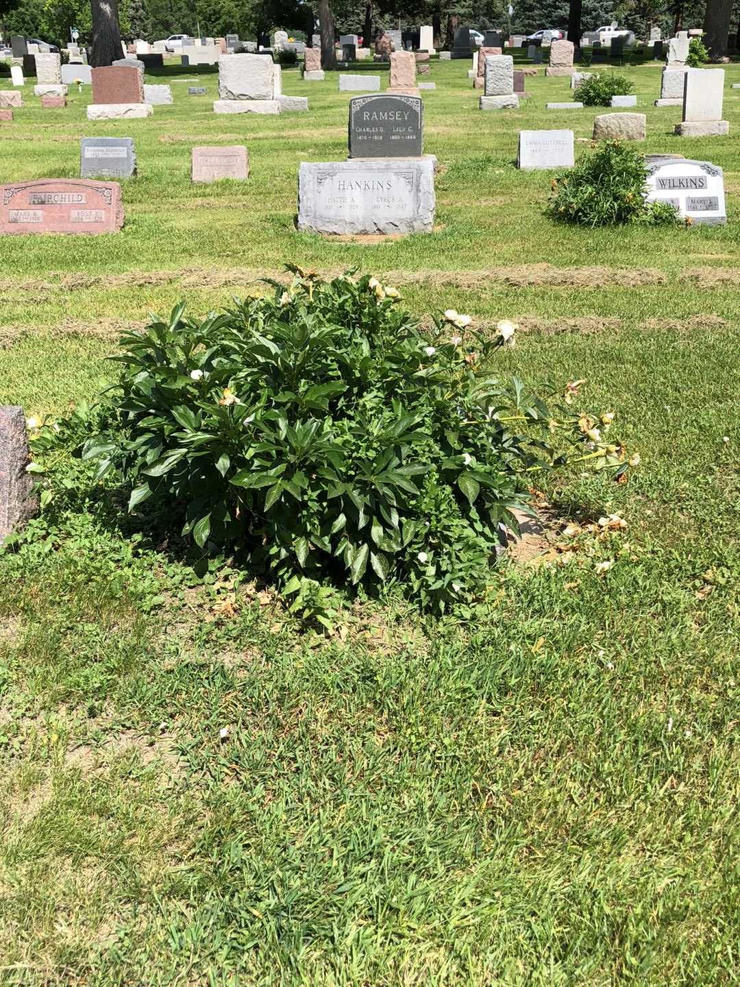 Floyd G. Jackson's grave. Photo 2