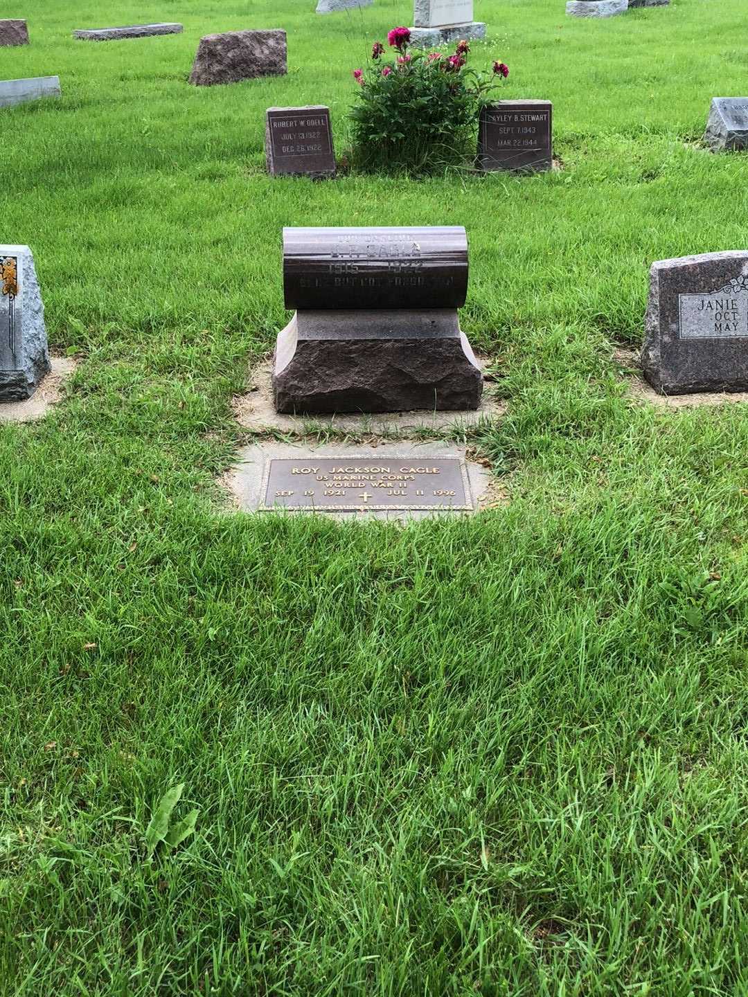 Roy Jackson Cagle's grave. Photo 3