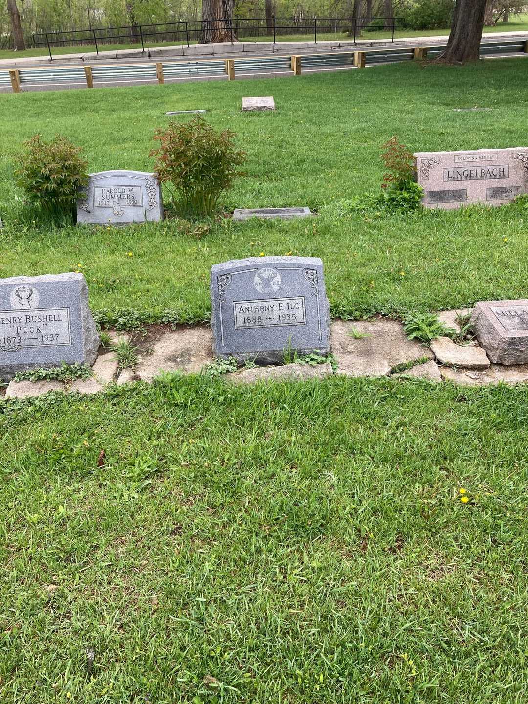 Anthony F. Ilg's grave. Photo 2