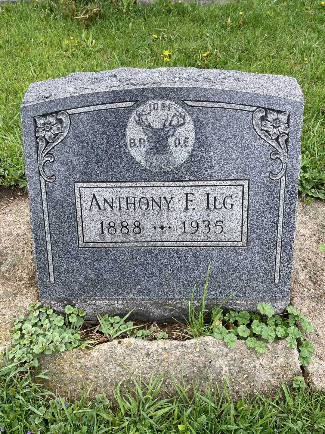 Anthony F. Ilg's grave. Photo 1