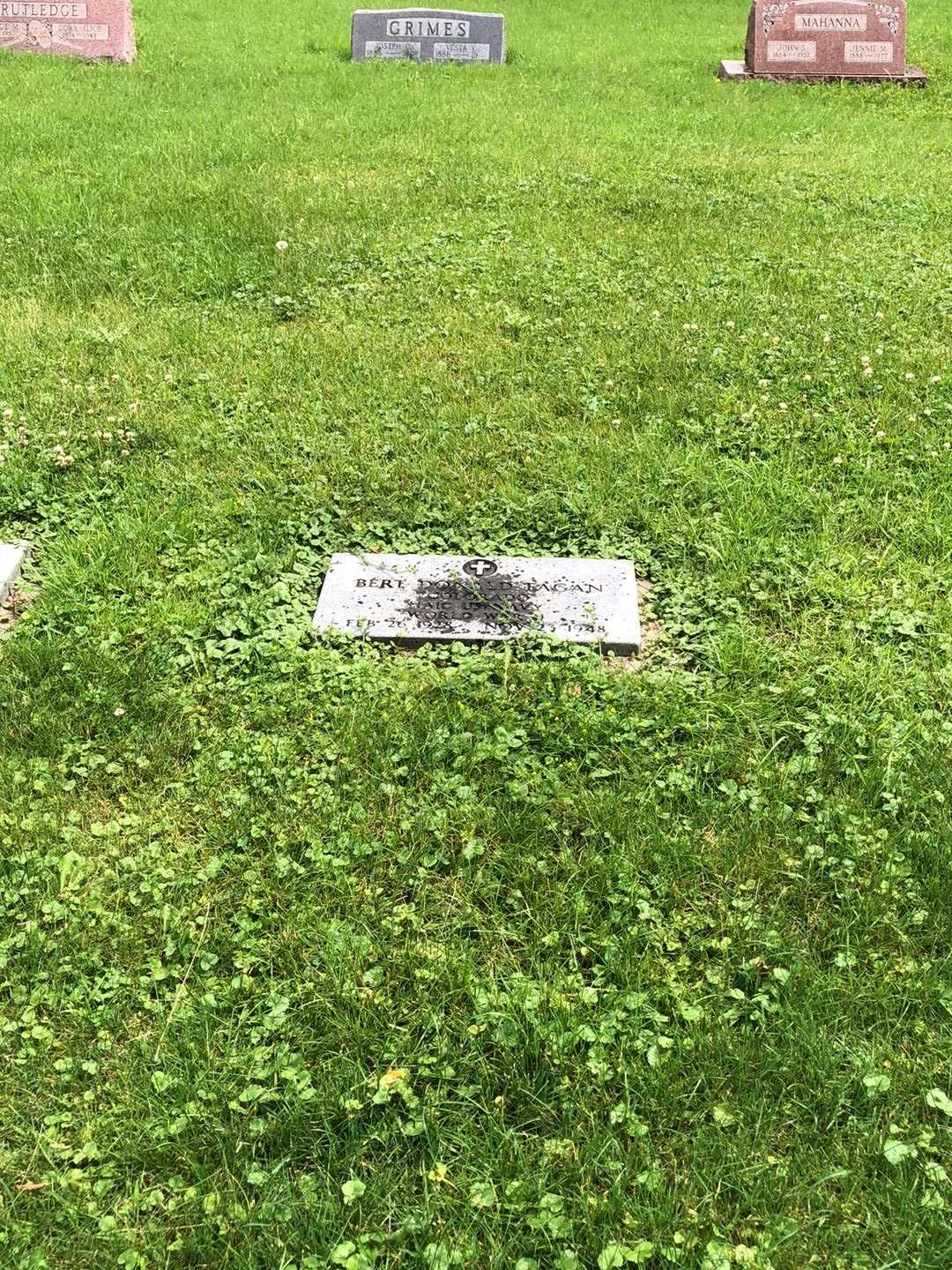 Bert Donald Fagan's grave. Photo 2