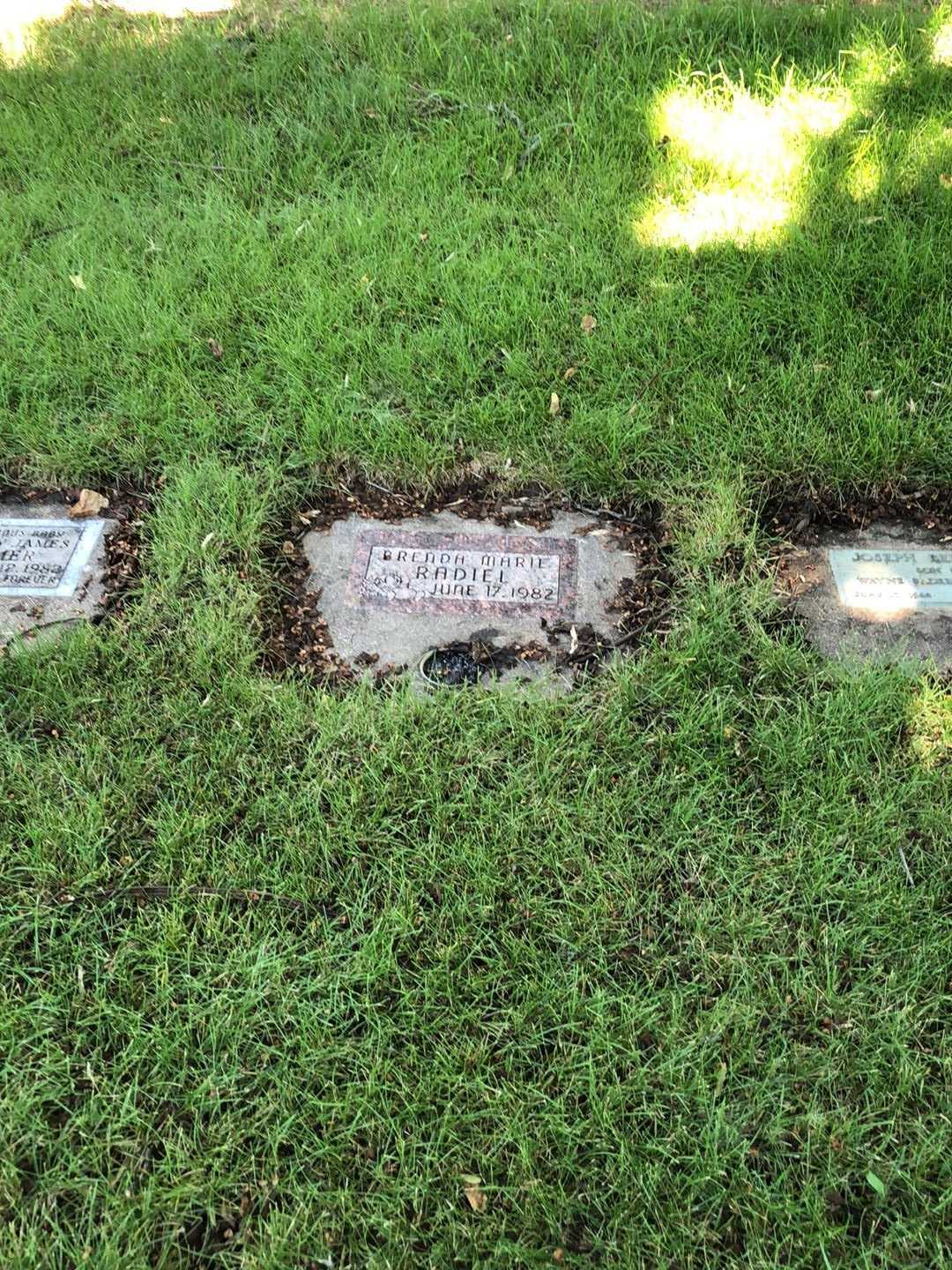 Brenda Marie Radiel's grave. Photo 2