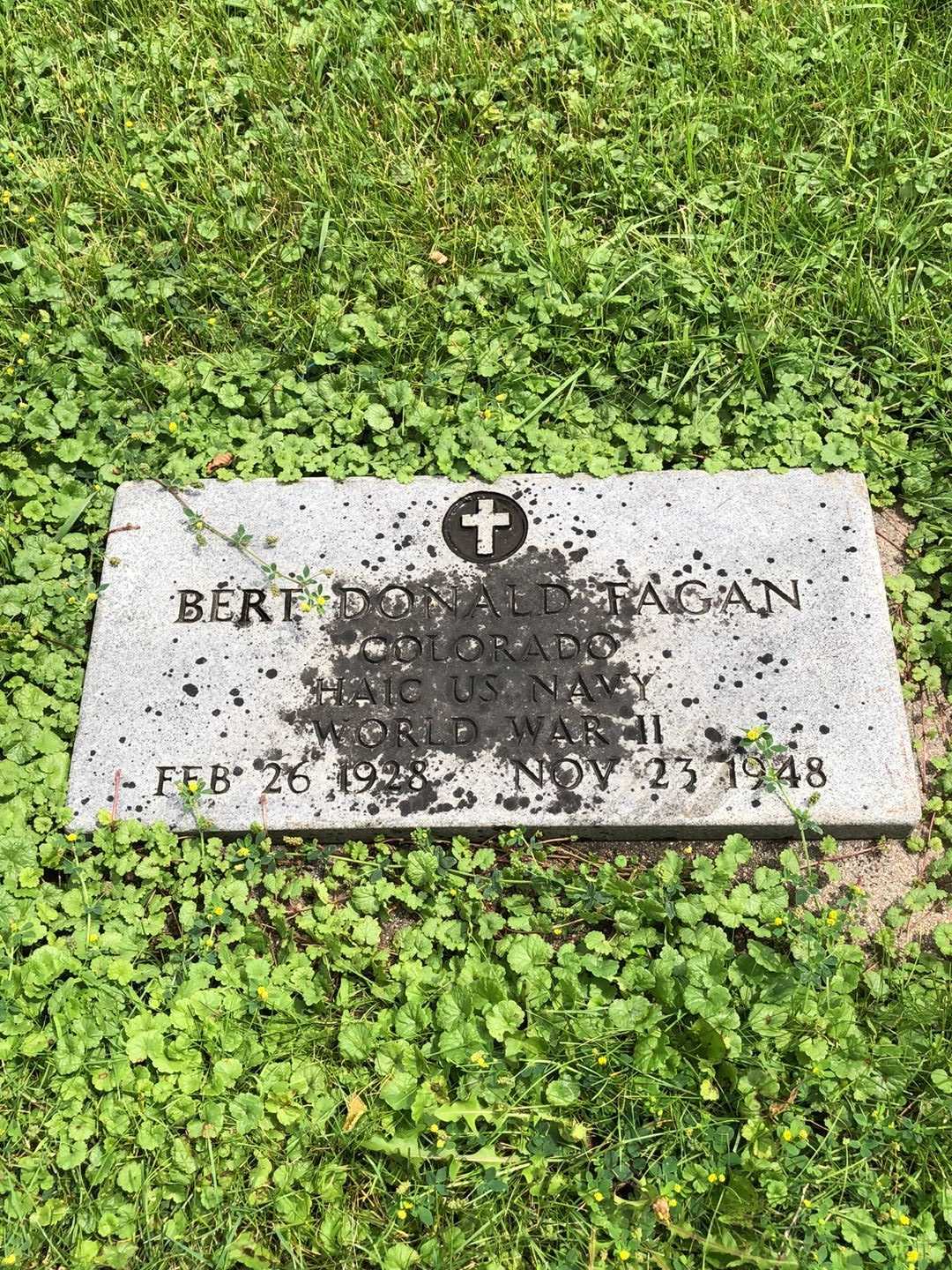 Bert Donald Fagan's grave. Photo 1